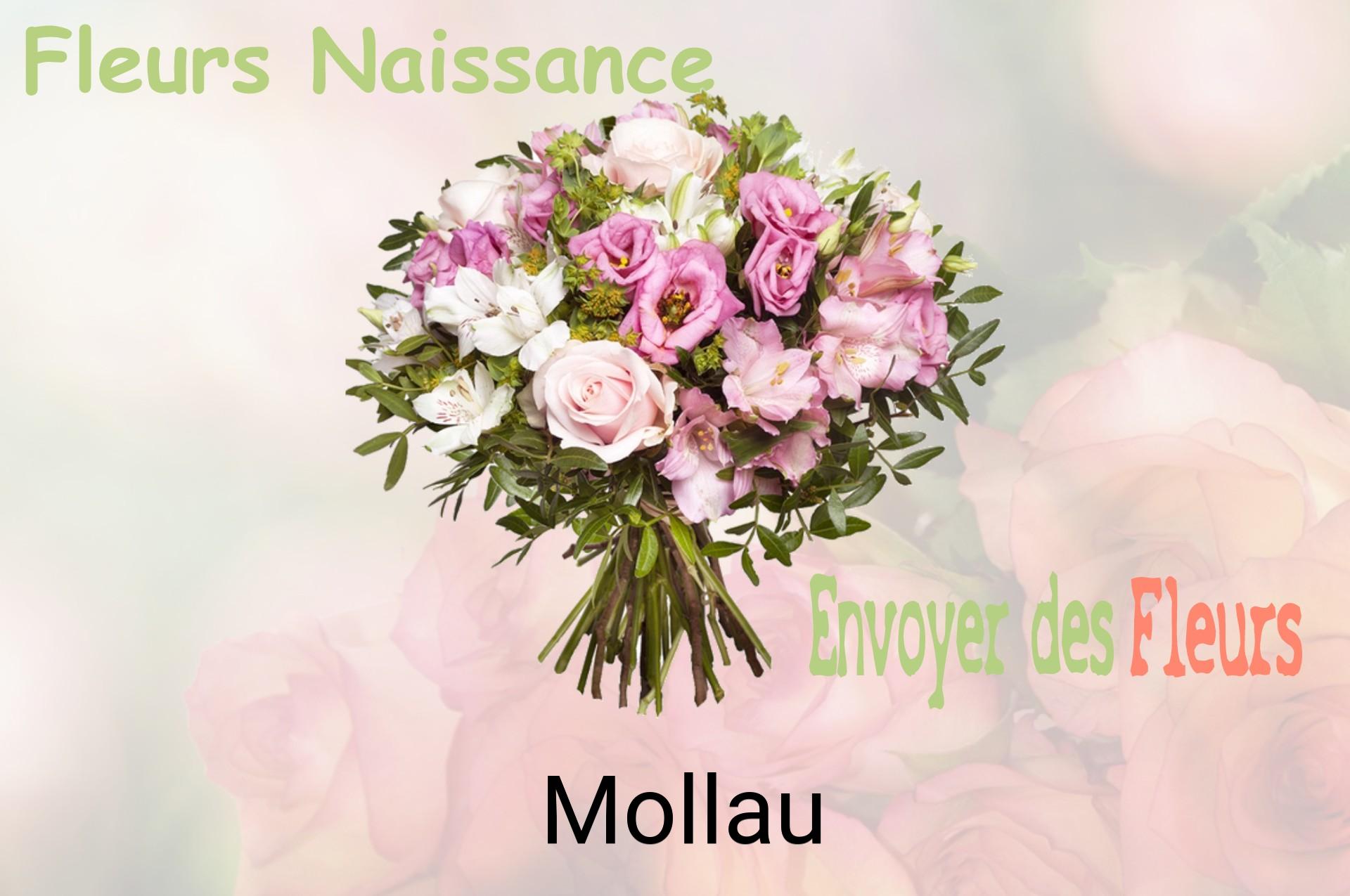 Bouquet de fleurs de naissance livré à Mollau